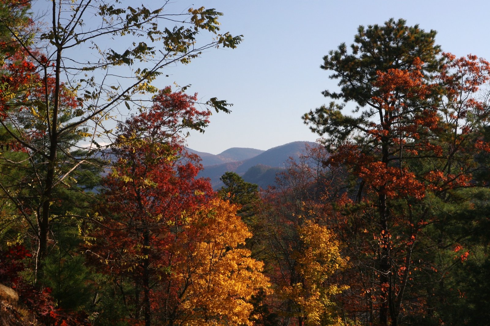 Brilliant fall color across the Blue Ridge Mountains